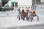 На ипподроме разыграли традиционные призы для лошадей орловской породы