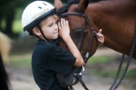 Новости Центра развития конного туризма