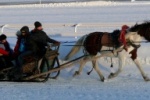Уфимский Ипподром "Акбузат" в новогодние каникулы со 2 по 16 января приглашает всех желающих покататься на лошади и пони верхом или на санях-кошевке.