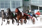 В субботу, 30 марта, на ипподроме будет разыгран приз «Зимний коневодческих ферм»